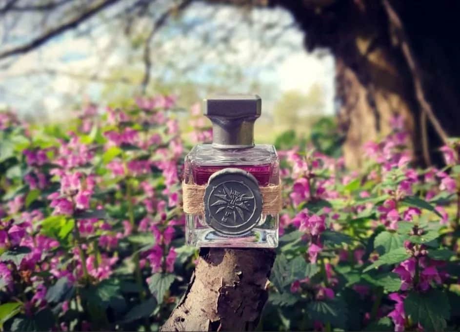 Gdzie kupić perfumy bez i agrest? Sprawdź najlepsze oferty!