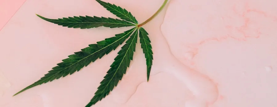 Balsam z konopi na co pomaga – odkryj jego niezwykłe właściwości