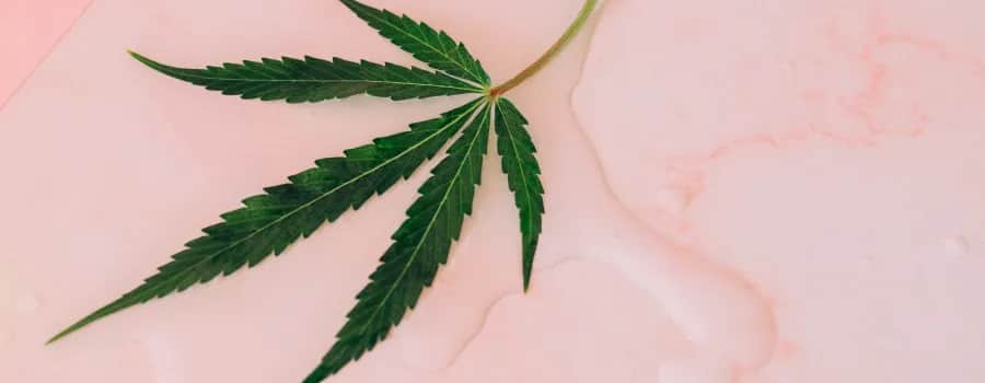 Balsam z konopi na co pomaga – odkryj jego niezwykłe właściwości